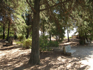 Castelo Branco, Beira Baixa, Portugal, August 13, 2006, Views from Castelo Branco