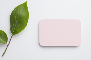 Fresh leaves beside a light pink rectangular card on a white background