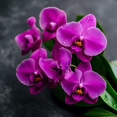 A vibrant cluster of purple orchids with water droplets
