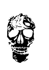 tribal tete de mort lion