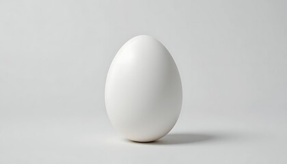 Perfect White Egg Minimalist Photo Background