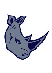 rinocerose rino animal corne sauvage