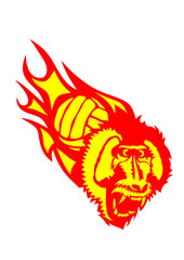 volley singe hurle waterpolo flamme