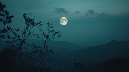 Naklejka premium Serene moonlight over distant mountains, framed by delicate branches