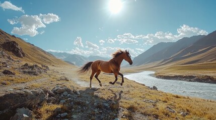 horse running on the grassland in a bright sunny day, green grass