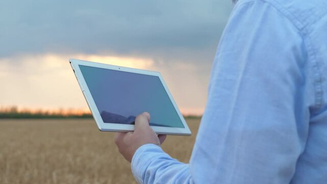 agriculture, wheat field, golden wheat farm field sunset,farmer with digital tablet, close up male hand tablet, business farmer, harvesting farm, industry eco technology development, concept bread