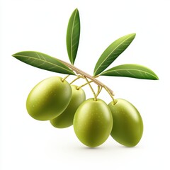 Fresh Green Olives on Branch with Leaves Isolated on White Background Ideal for Food, Cooking, and Health Related Projects
