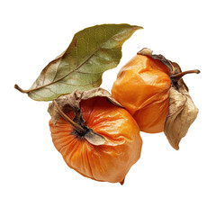 Dried persimmons with leaf on a Transparent background showcasing their unique texture and natural color, dried persimmon with leaf isolated on PNG background