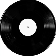 Blank Vinyl Record (3)