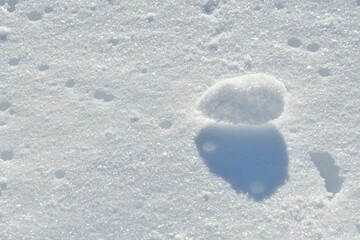 雪景色（新潟県）
