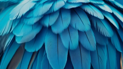 Fototapeta premium Stunning Close-up of Vibrant Blue Bird Feathers