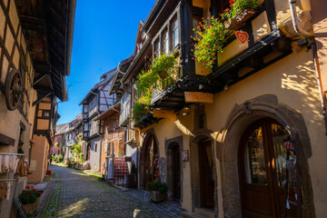 Naklejka premium Eguisheim is a medieval village in France’s Alsace wine region, France