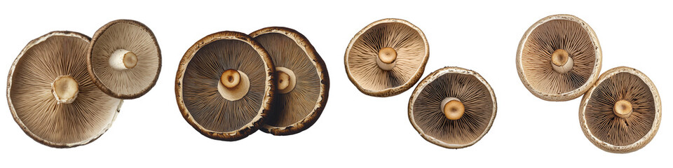 Closeup of portobello mushroom caps showcasing gills stems and varying brown hues.