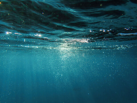 bubbles, bubble, water, underwater, sea, air, deep, undersea, under, background, wave, liquid, clear, clean, ocean, nature, texture, oxygen, blue, white, effect, transparent, foam, aquarium, aqua.	
