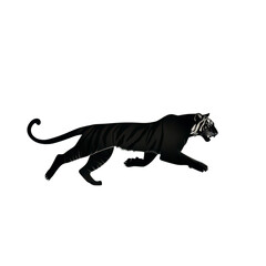 Obraz premium Silhouette of a running black panther in mid-motion isolated on transparent background