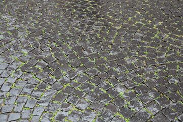 harmonic pattern of wet cobblestone street