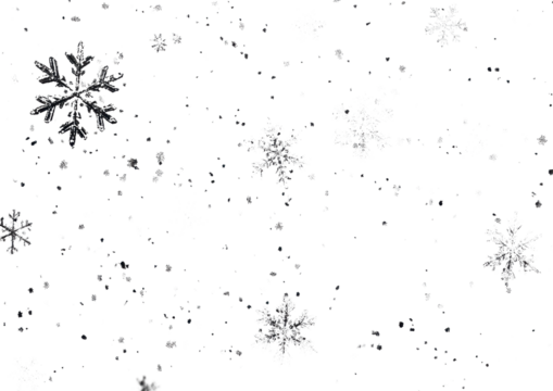 Abstract Snowflake Particles Scattered in the Air. Isolated on a Transparent Background