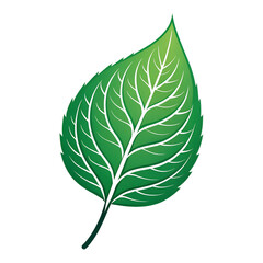 Green leaf ecology nature element vector icon, Leaf Icon, green leaf ecology nature element vector