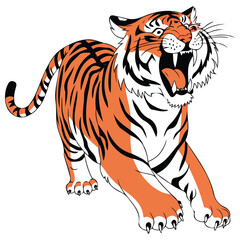 Angry tiger from the wild��