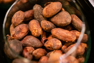 Group of roasted cocoa beans