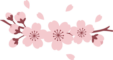 Cherry Blossom Branch in Bloom