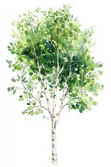 A detailed watercolor painting illustrating a vibrant tree in nature