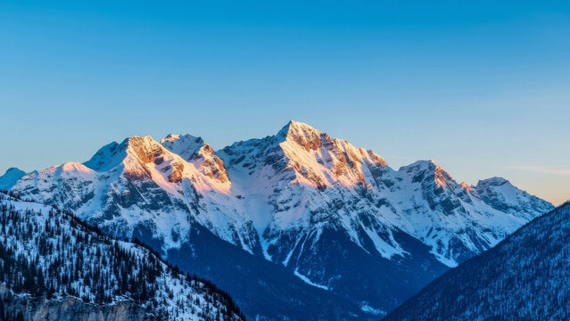 Snow-capped mountains with pine trees at dawn, under a clear blue sky with golden sunlight.