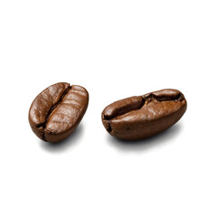 Obraz premium Two Roasted Coffee Beans