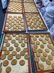 Bakers arrange dozens of perfectly shaped cookies on trays to cool in a bustling bakery environment