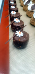 Small chocolate treats are beautifully arranged, each topped with a flower decoration, showcasing bakery creativity and craftsmanship