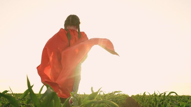 little child kid superhero costume runs through corn field, agriculture, happy family, childhood dream flying, child kid girl running sunset rubber boots, child kid running red cape, airplane pilot