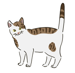 立ち止まる猫のイラスト