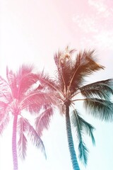 Two colorful palm trees are seen under a clear sky