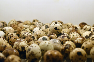 Obraz premium beige organic quail eggs background