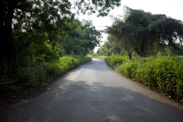 Indian village green - clean curve roads surrounded by the green trees and fresh oxygen environment...