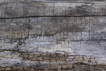 old wood texture