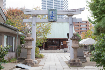 torii gate and empty path in sumiyoshi shinto shrine