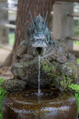 water flowing out from the mouth of religious dragon statue in matsudo shrine