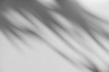 Wall interior background, studio and backdrops show products.with shadow from window color white and grey. background for text insertion and presentation product	
