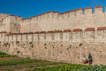 ISTANBUL, TURKEY - SEPTEMBER 19, 2022: Local woman growing vegetables next to Theodosian Land Walls...