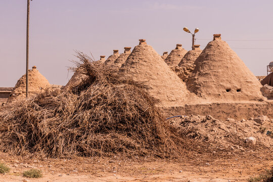Traditional beehive houses in the ancient town Harran, Turkey
