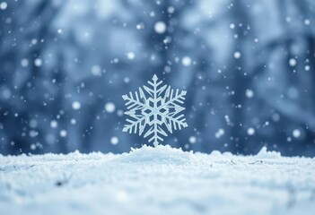 Giant snowflake softly landing on pristine, frost-covered ground during a gentle snowfall, february, weather