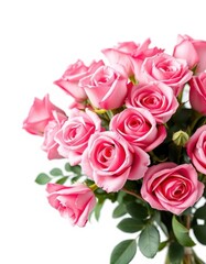 A lush bouquet of pink roses, meticulously arranged, isolated against a pure white background, delicate, cutout, blossom