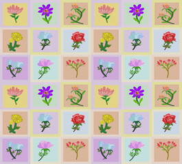 flower ng01