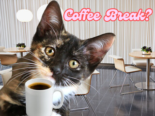 Coffee Break?