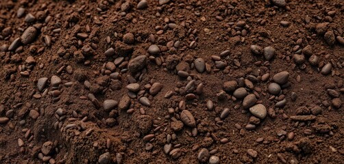 Silty loam soil, dark brown, fine grains, slightly moist, brown, organic