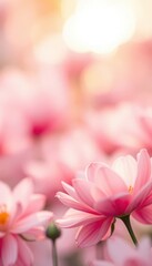 Obraz premium Soft focus floral bokeh, pastel hues, blurred petals, dreamy atmosphere, focus, light, vibrant