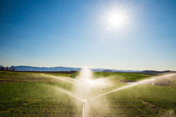 Sprinklers spraying water over a green field in Kalbar, Australia.
