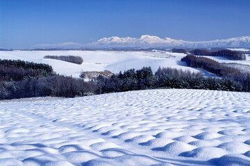 雪原の丘と旭岳（上富良野町）