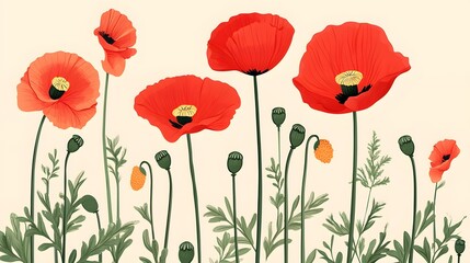 Fototapeta premium Vivid Red Poppy Flowers Vector Flat Floral Illustration for Designs